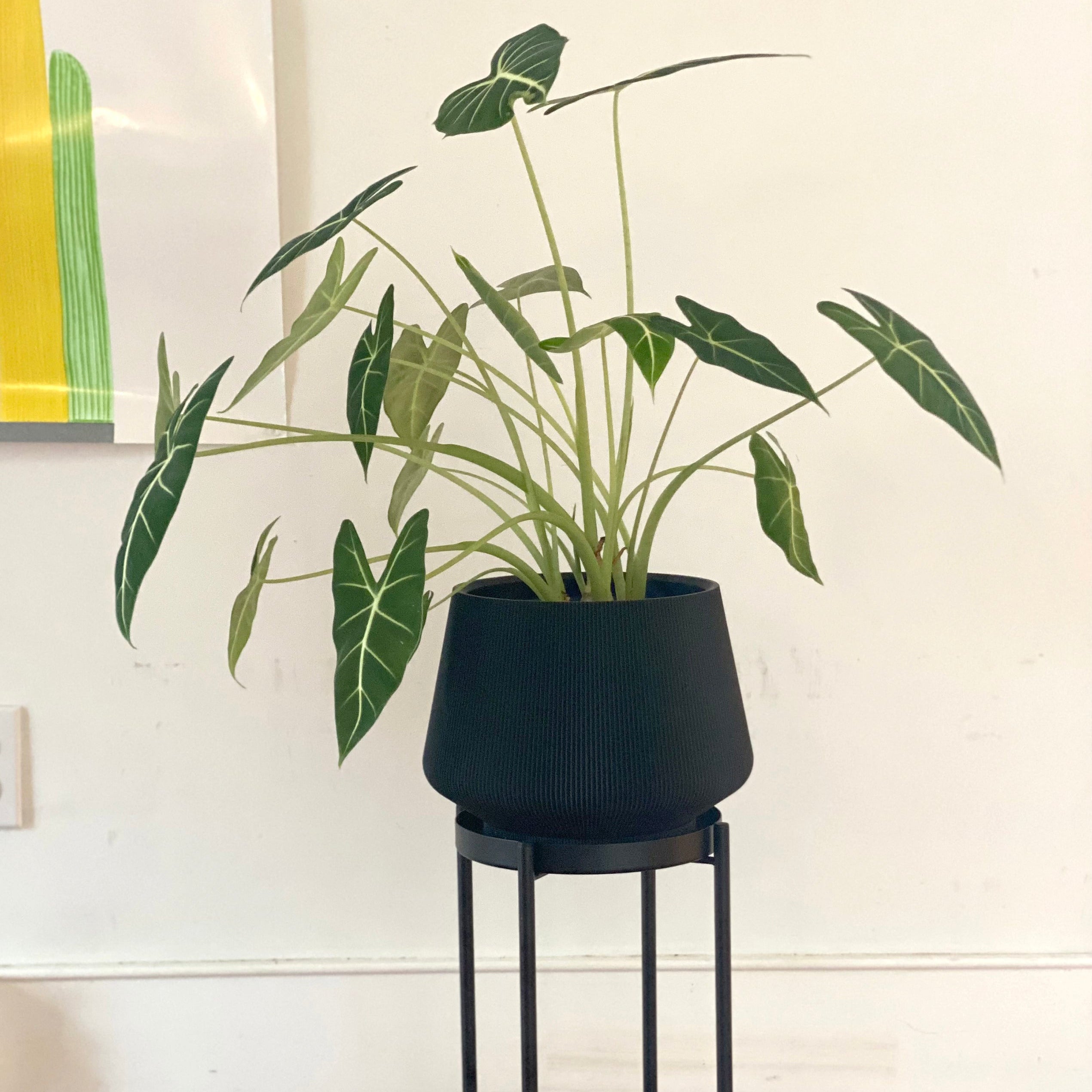 Wine Planter - 8"