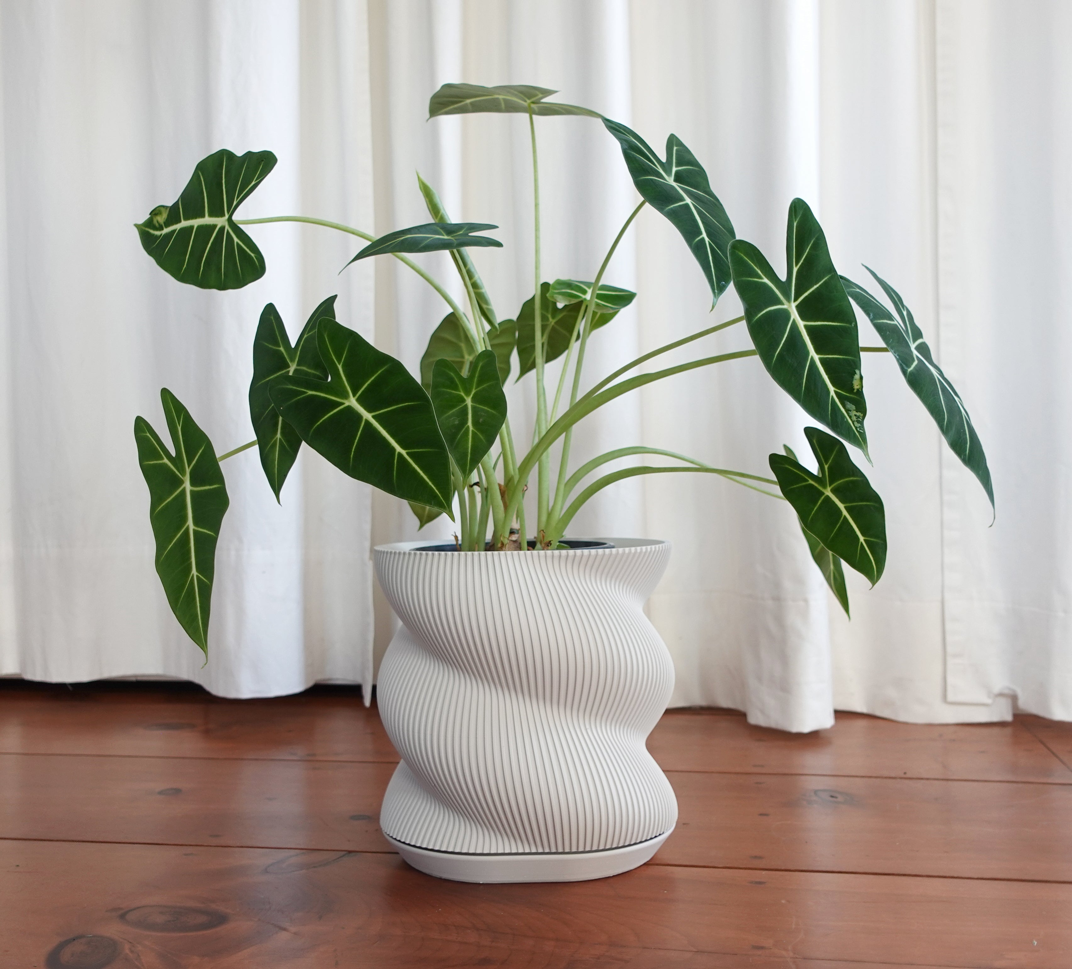 Swirl Planter - 7"
