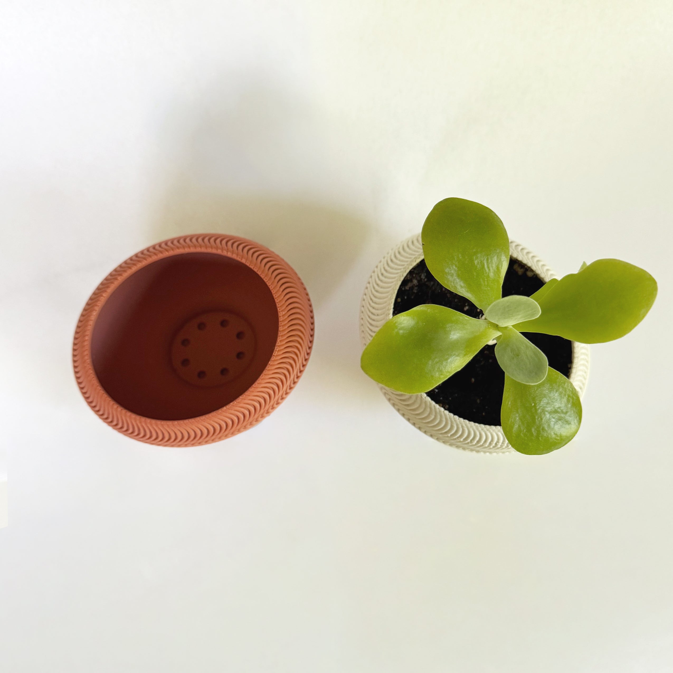 Echo Planter - 2.5" Oval