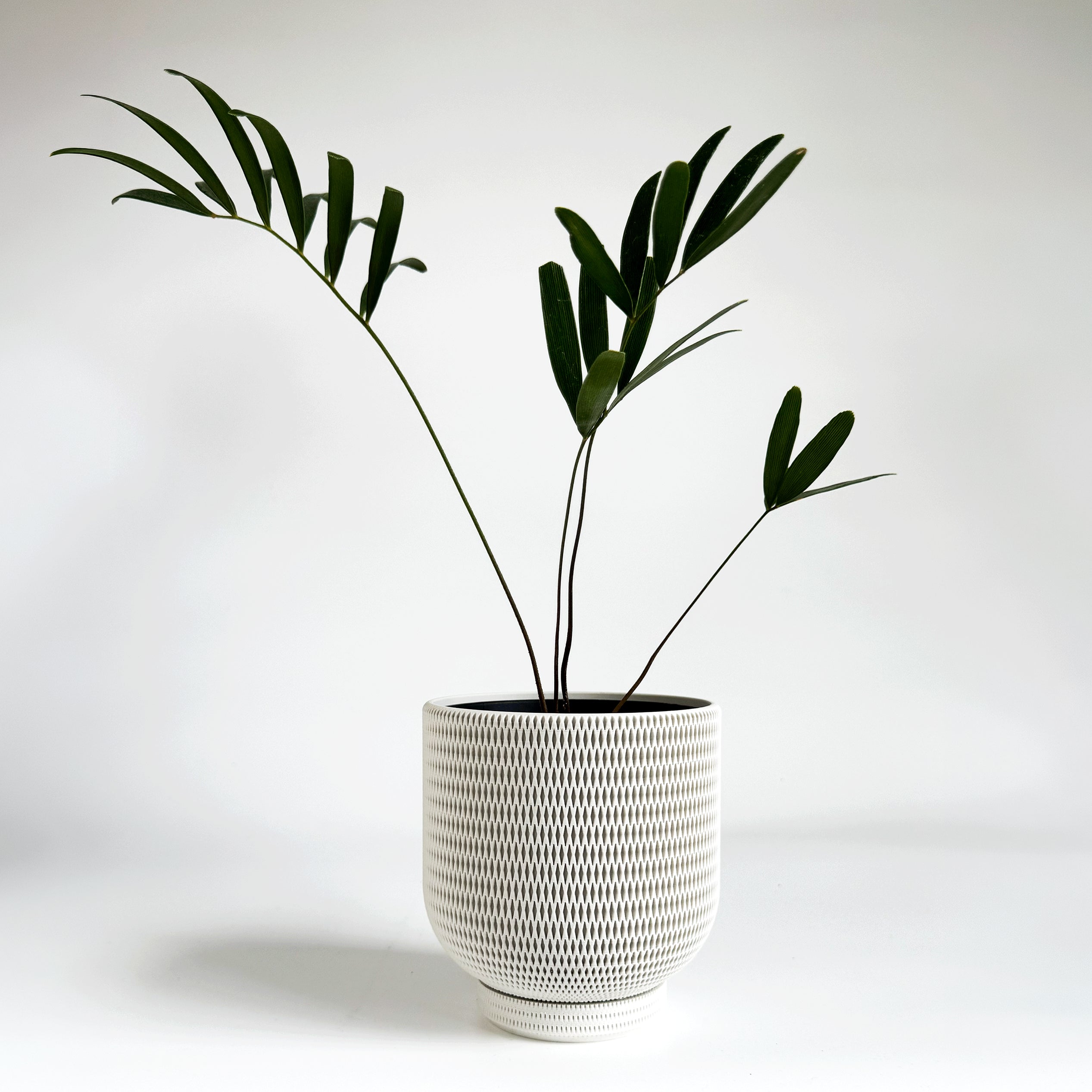 Woven Tall Planter - 4.3"