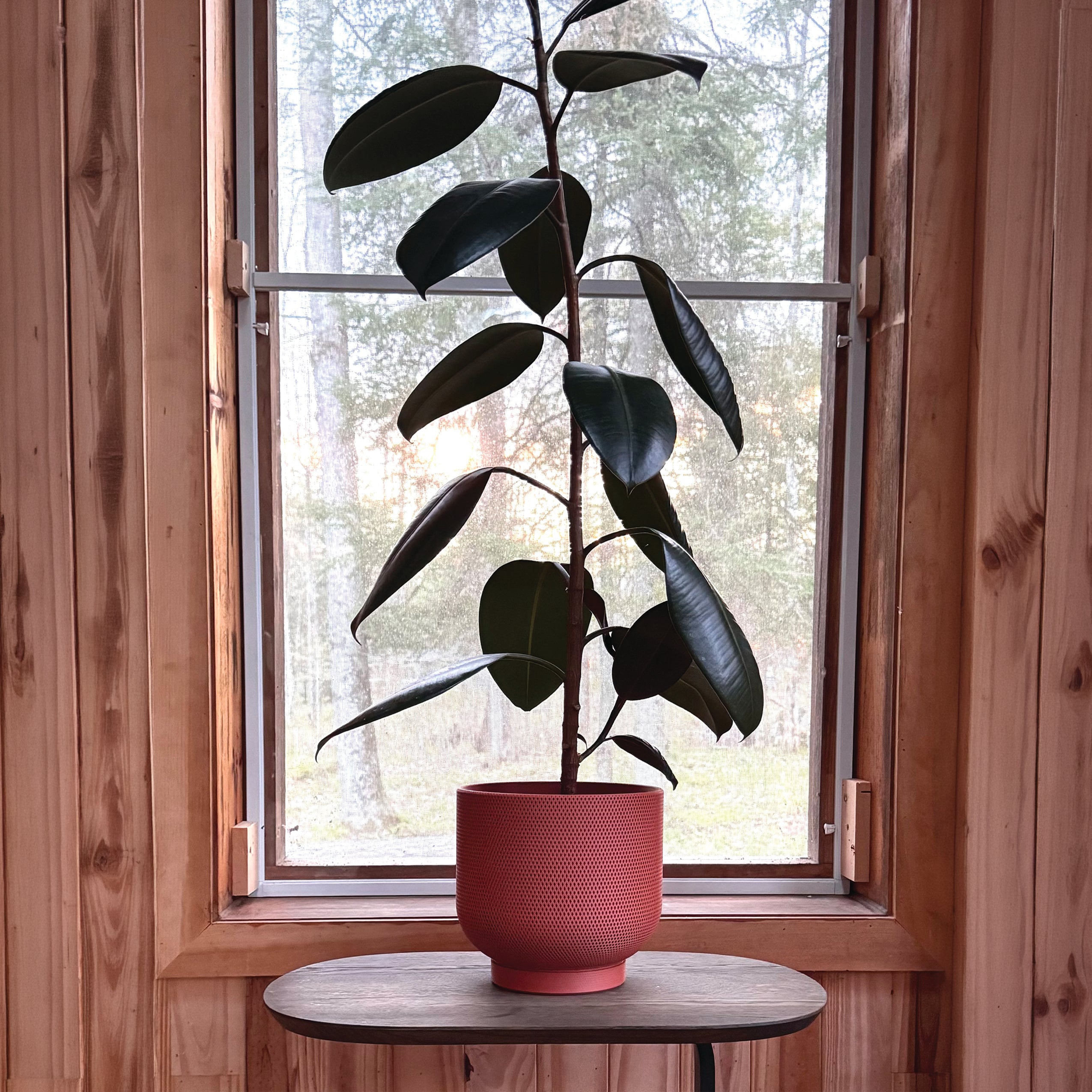 Woven Planter - 8"