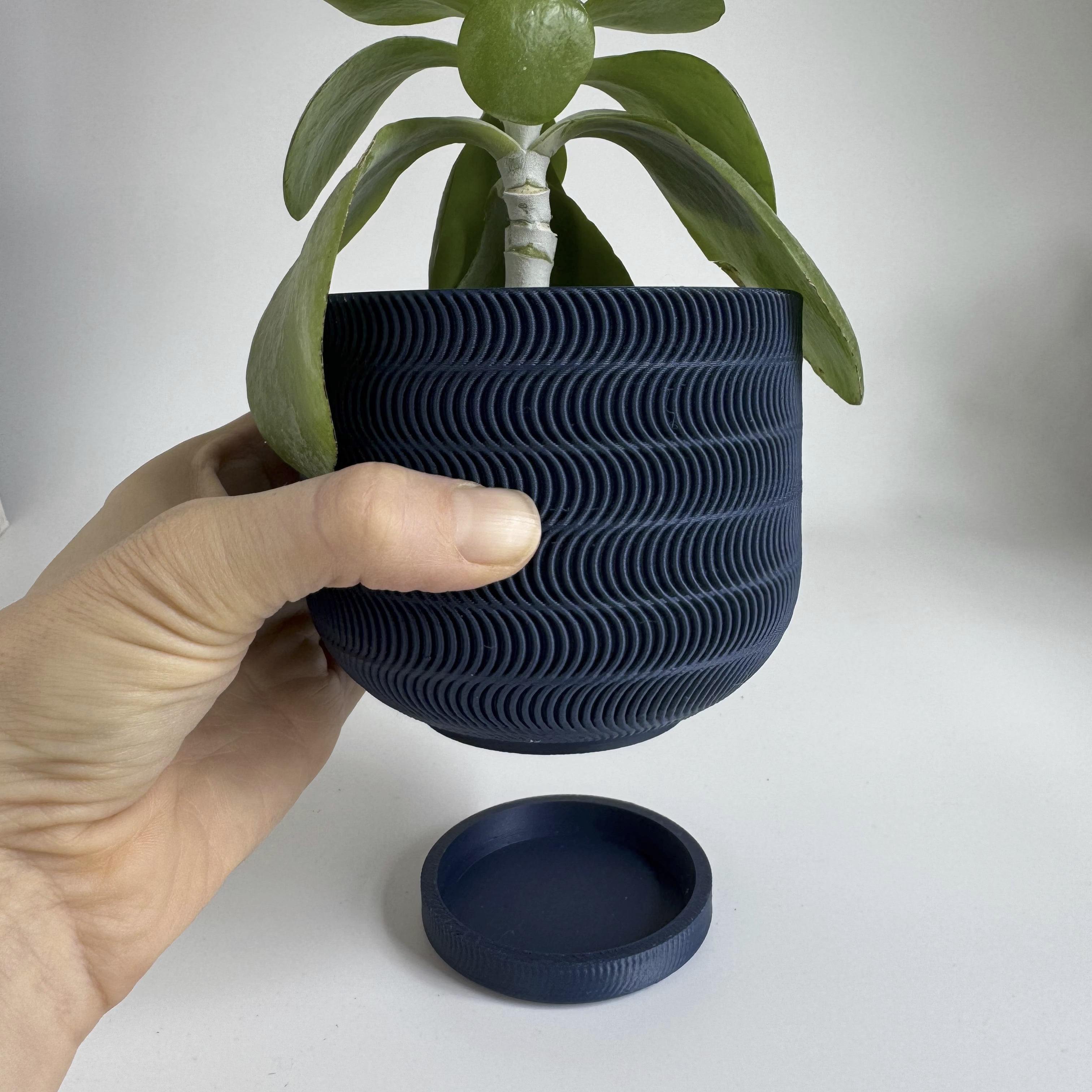 Echo Planter - 4"