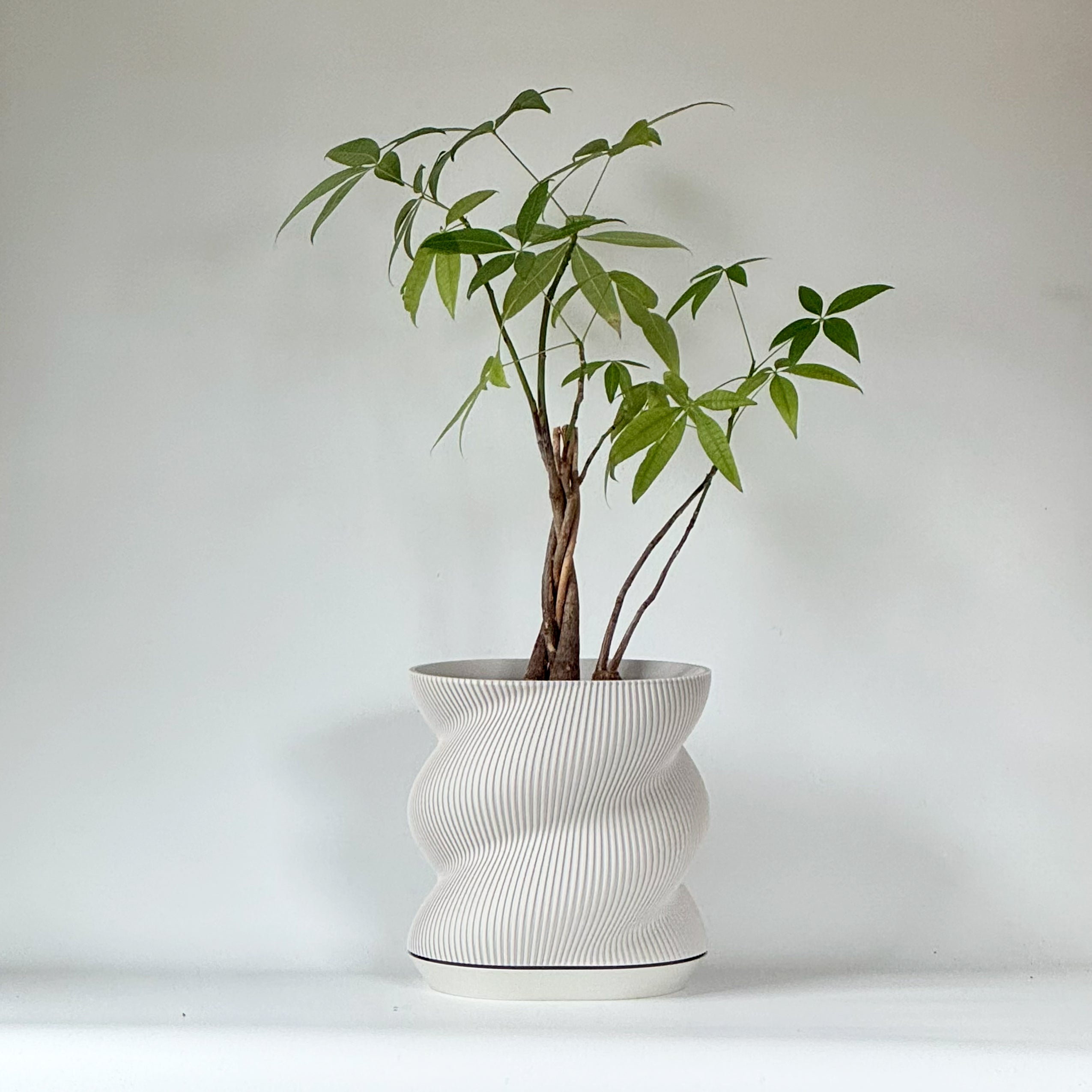 Swirl Planter - 7"