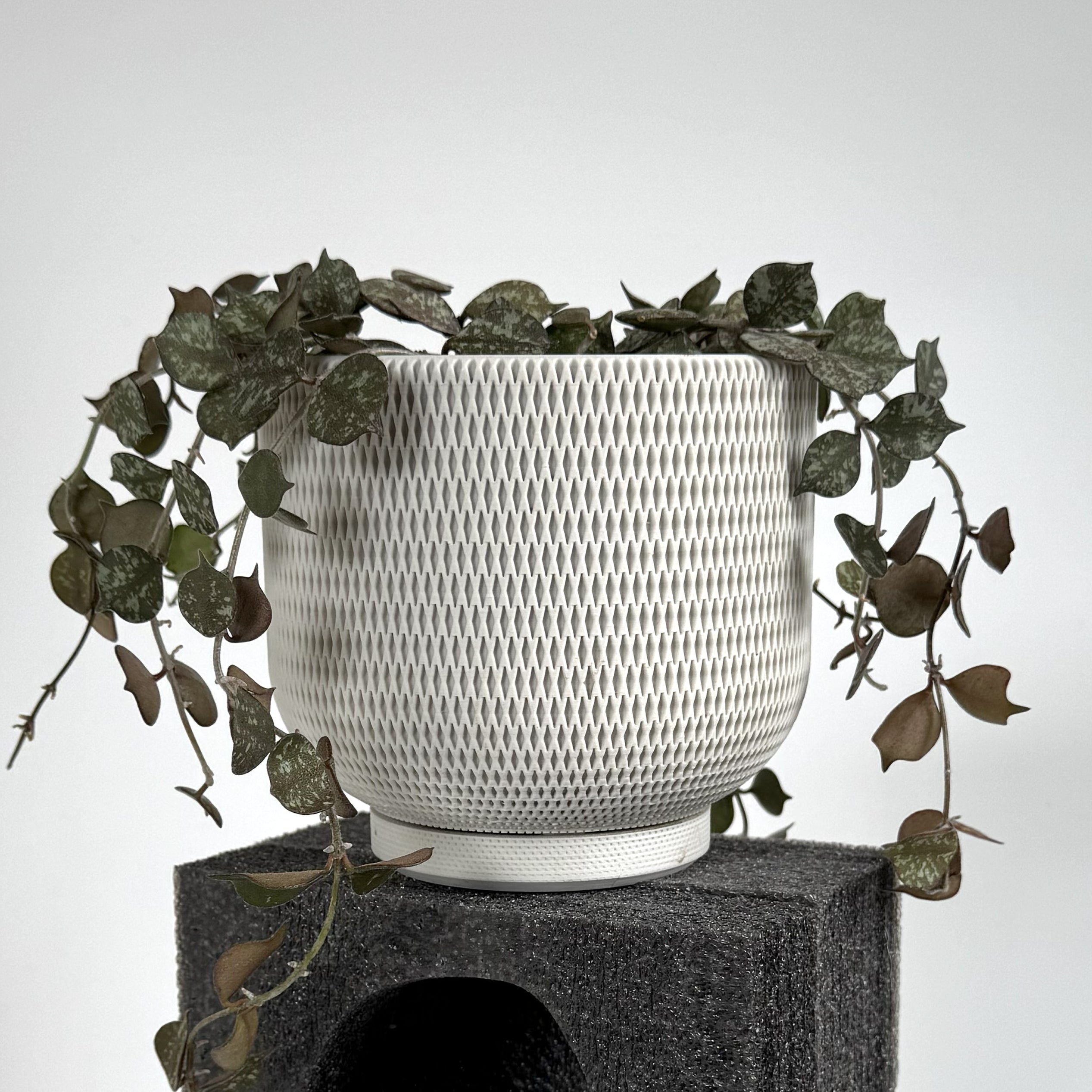 Woven Planter - 4"