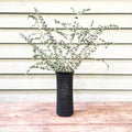 Emotiv Vase